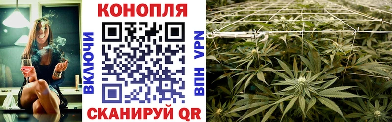 Купить наркоту Домодедово Псилоцибиновые грибы  Alpha-PVP  ГАШИШ  Канабис 