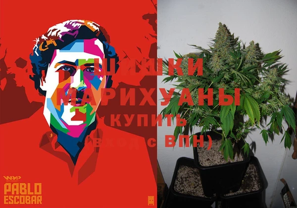 каннабис Алзамай