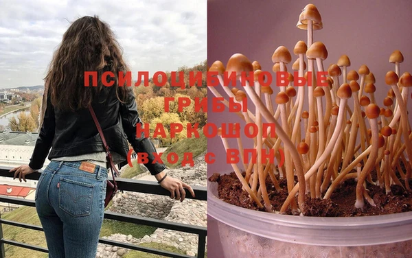 MDMA Алексин